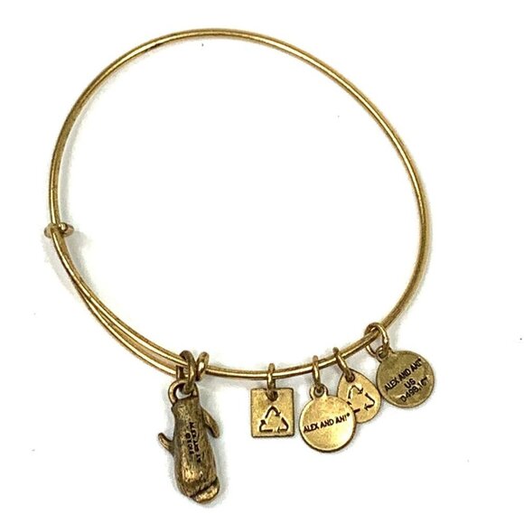 Alex and Ani Otter Charm Bracelet Silver Gold - Expands 2"- 3.5" - Picture 3 of 3